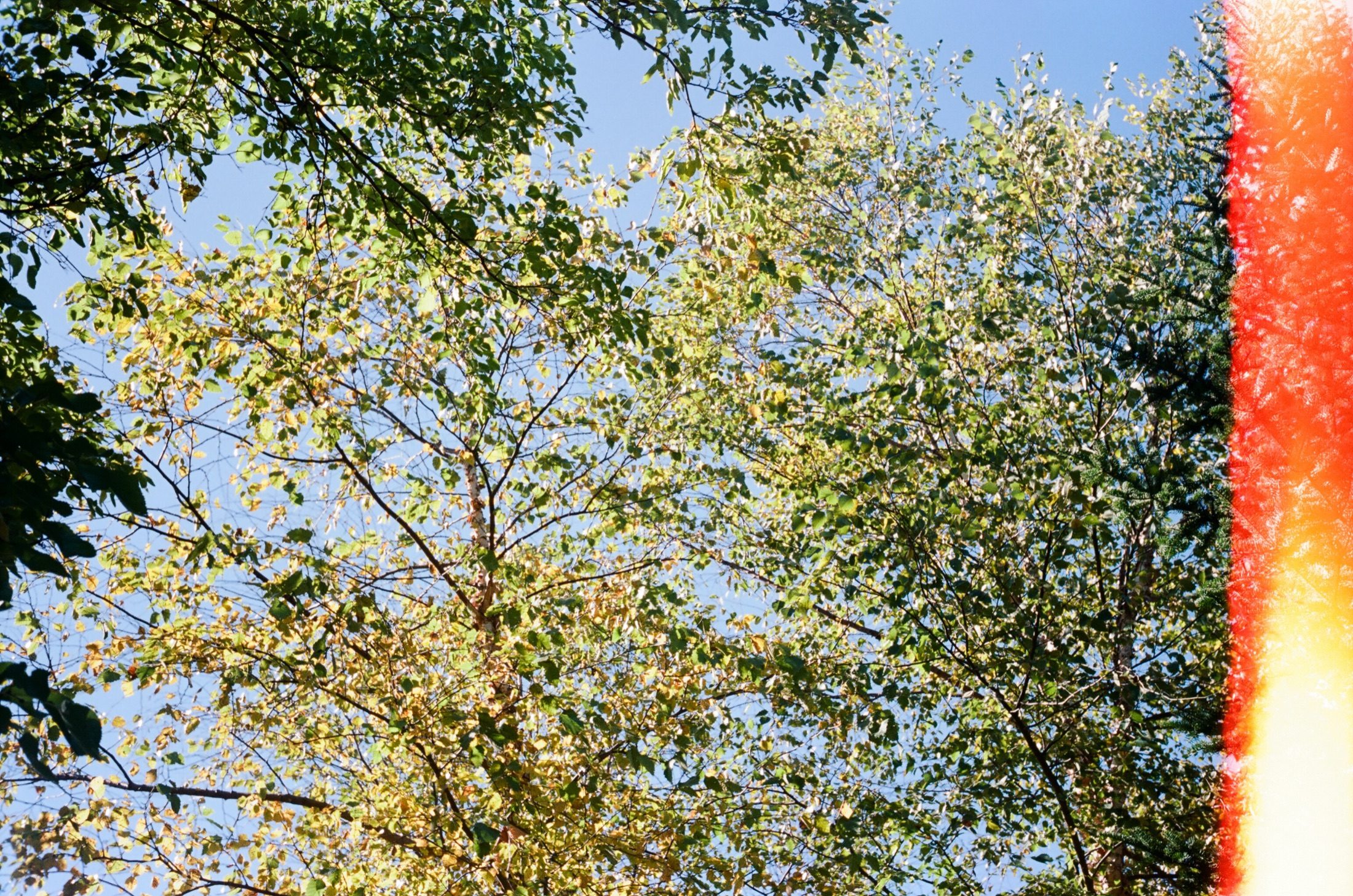 Selected photograph from Film. Yesterday.