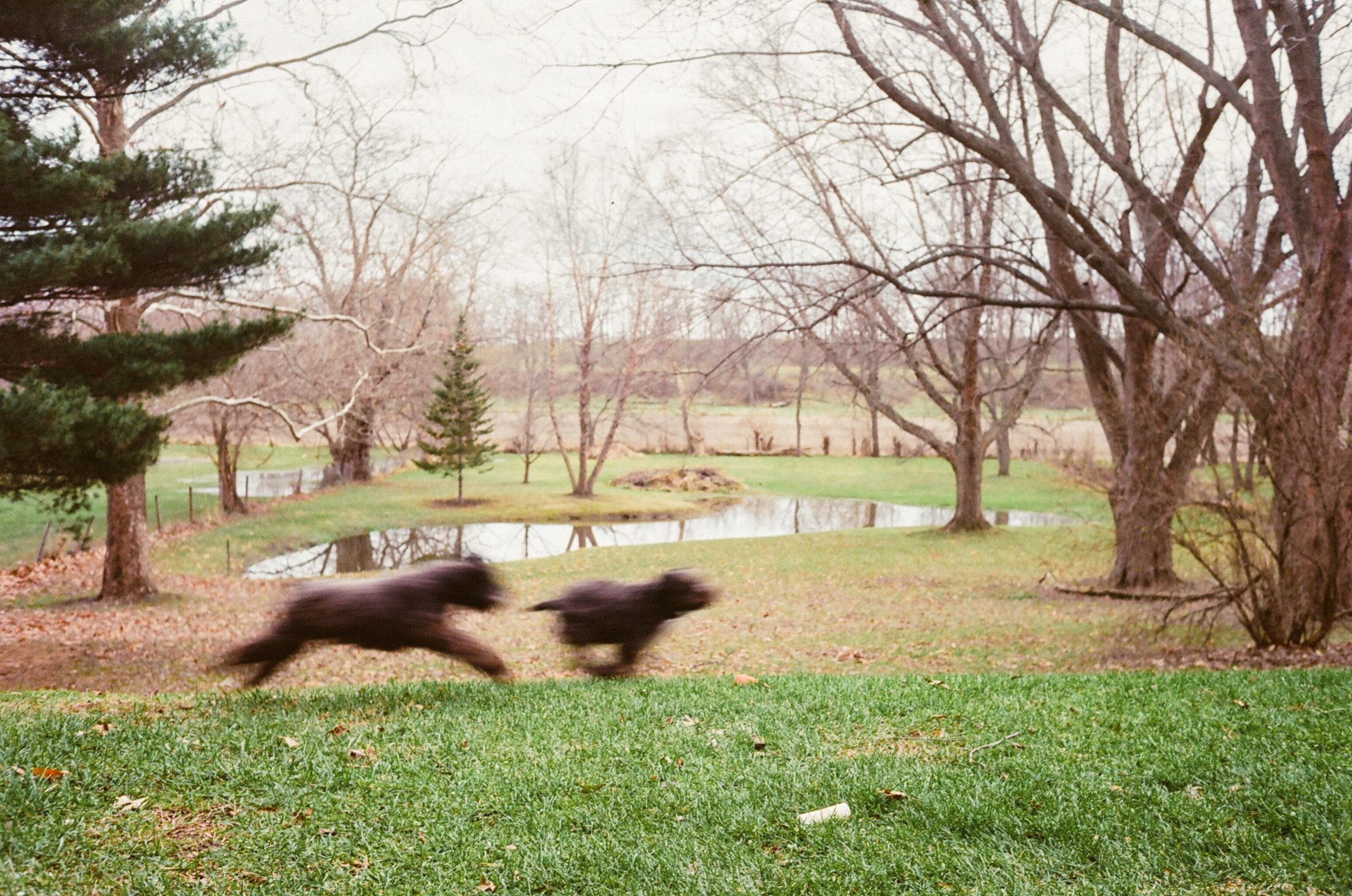 Film. Yesterday. photograph 3 of 20