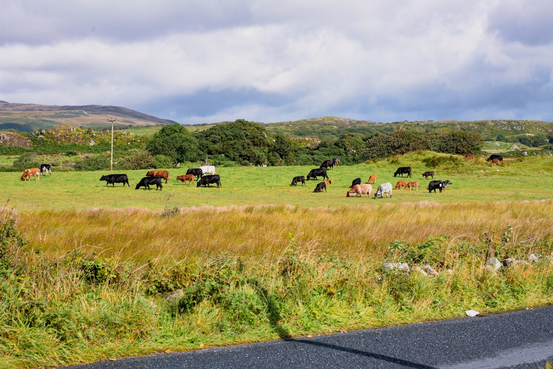 Islay photograph 13 of 30