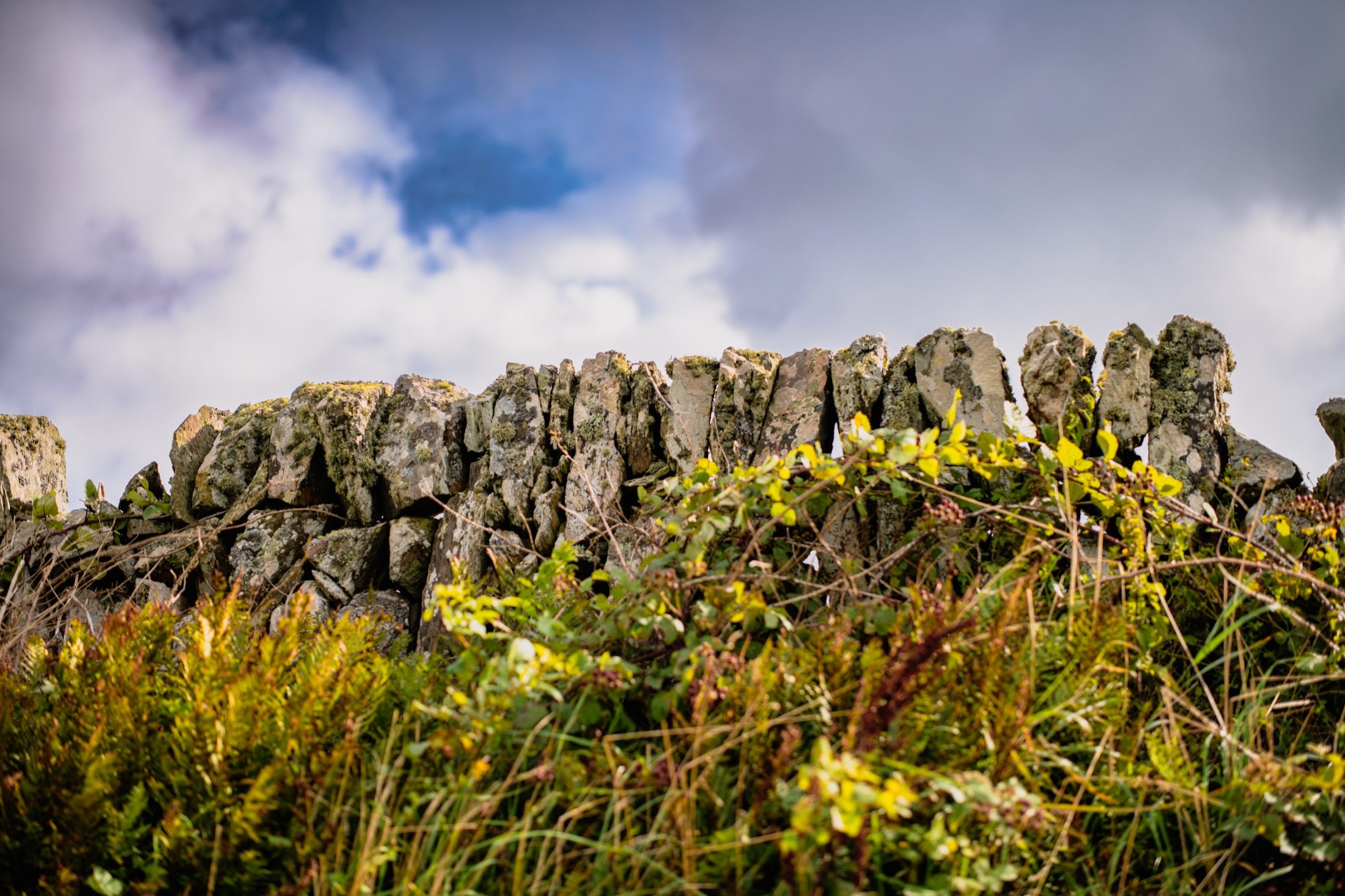 Islay photograph 27 of 30